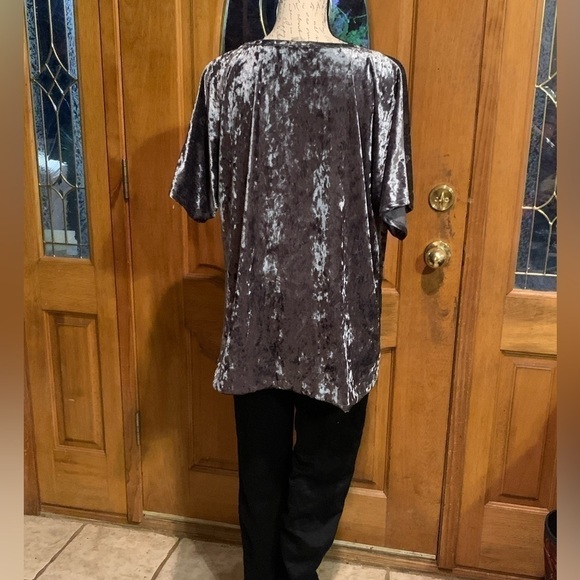 1.4.3 Story short sleeve crushed velvet top size medium EUC - Picture 2 of 4